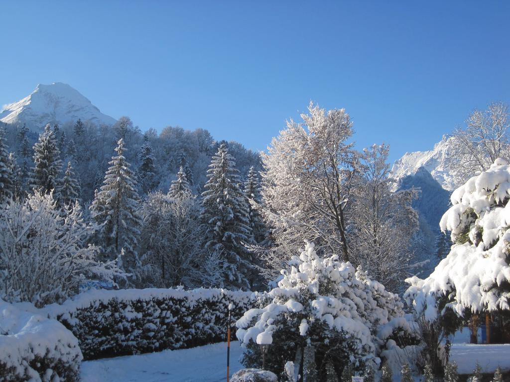 Haus Alpengluehn * Engedey